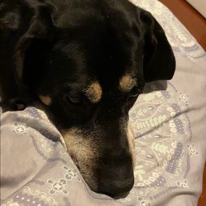 Meet your Posher, Brooklyn